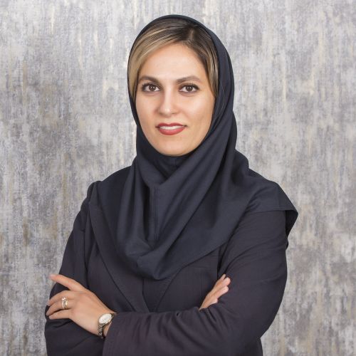 هیئت مدیره شرکت گسترش صنایع روی ایران